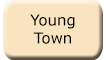 Young Town